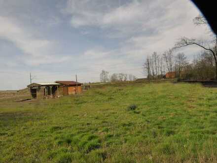 ***Freizeitgrundstück mit Blockhütte in Engerhafe/Südbrookmerland***PROVISIONSFREI