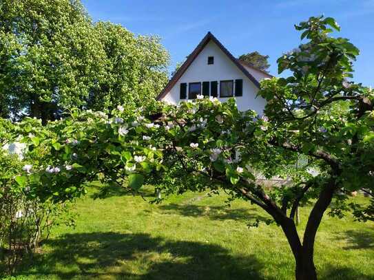 Bad Lippspringe: Großzügiges Einfamilienhaus m. Einliegerwhg. u. Obstgarten in bester Lage