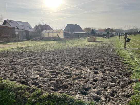 Preiswertes Baugrundstück in Werneuchen (OT Krummensee)