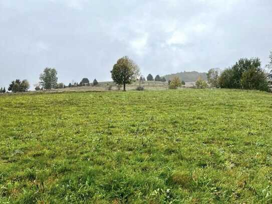 Erschlossenes Baugrundstück - Südhang