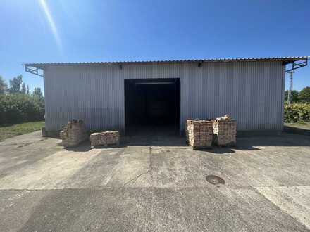 Lagerhalle / Kalthalle in Innenstadtlage ( ca. 710 m² Freifläche / Tor 4m x 4m )