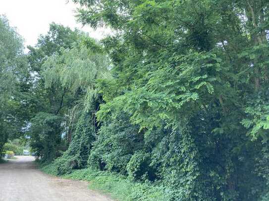 Baugrundstück für Einfamilienhaus - ca. 400 m zum Wandlitzer See