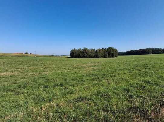 Wiesengrundstück Bio zertifiziert zu verkaufen - Gde. Rott am Inn