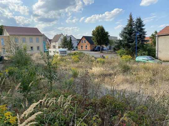 Begehrtes Baugrundstück in Schiepzig.