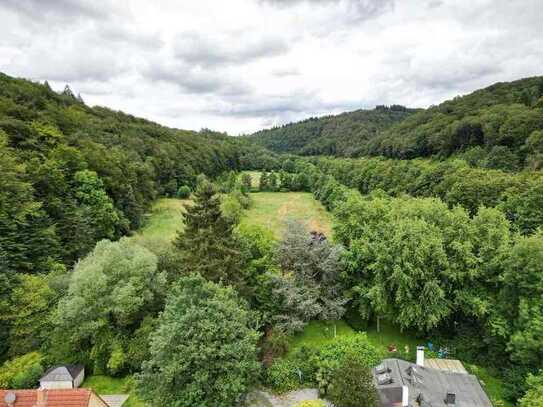 Naturidylle an der Wupper: Vielseitiges Immobilienangebot mit 50.000 m² Grundstück