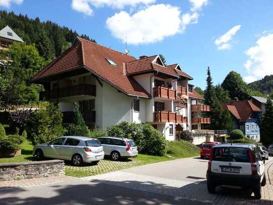 Gepflegte 2-Zimmer-Wohnung mit Terrasse und EBK in Todtmoos