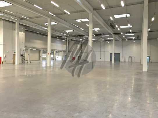 SCHNELL VERFÜGBAR ✓ RAMPE + EBEN ✓ Lager-/Logistik (4.000 m²) zu vermieten