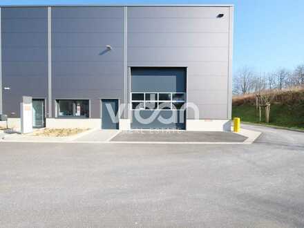 LAGER | MODERNE HALLE | 2 TORE | 7,0 m UKB | VIDAN REAL ESTATE