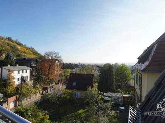 3 RAUM WOHNUNG MIT BLICK INS ELBTAL