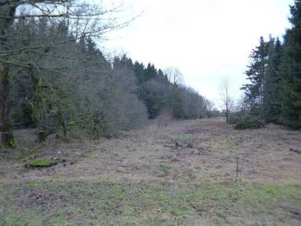 Herrliches, großes Wohnbaugrundstück am Ortsrand, Wäldchen und Bachlauf direkt angrenzend!