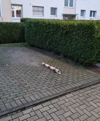 Stellplatz in Zollstock zu vermieten