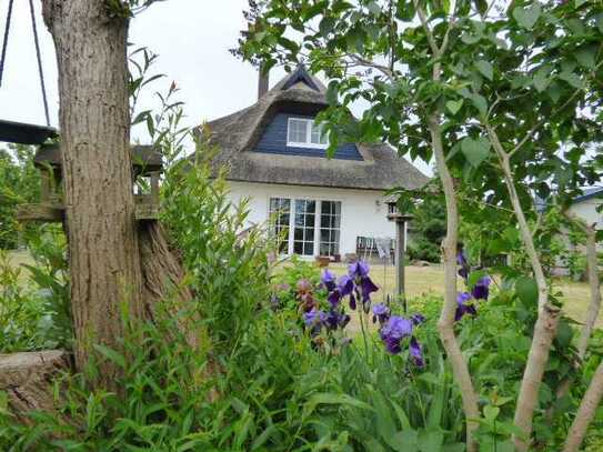 ERDWÄRMEHAUS! GRUNDSTÜCK MIT VIELEN FARBEN! SAUNA! KAMIN! CARPORT! FELDRANDLAGE!