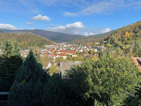 2,5-Zimmer-Maisonettewohnung ab 01.01.25 in Eberbach zu vermieten