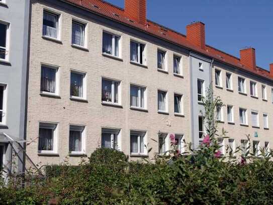 Große 4-Raum-Wohnung in ruhiger Lage mit grünem Innenhof