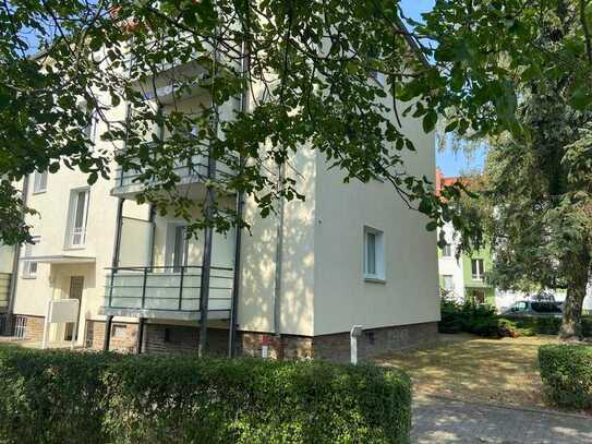 Leipzig Holzhausen: 3-Zimmer Wohnung, ruhig gelegen, frisch saniert, Balkon mit Blick ins Grüne