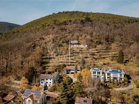 Naturparadies in Gimmeldingen - Sanierungshaus auf 2.100 qm Areal mit Panoramablick!