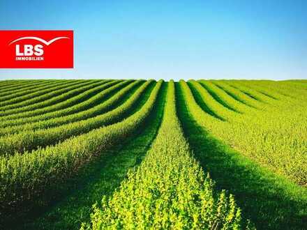 16,6958 ha landwirtschaftliche Flächen in Lichtenfels/Korbach zu verkaufen