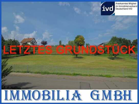 LETZTES GRUNDSTÜCK - Baugrundstück in bester Wohnlage von 66482 Zweibrücken-Ixheim