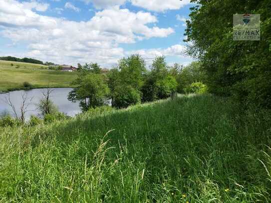 Großzügiges Grundstück mit über 18.500 m² - Landschaftsschutzgebiet mit vielen Möglichkeiten