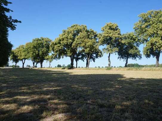 Gartenanlagen zu verpachten