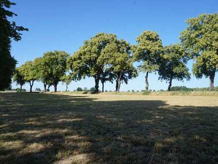 Gartenanlagen zu verpachten