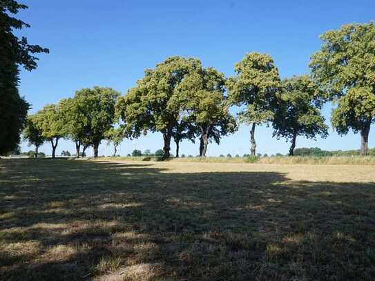 Gartenanlagen zu verpachten