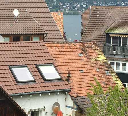 Schöne 4-Zimmer-Wohnung mit Balkon in Konstanz-Dingelsdorf