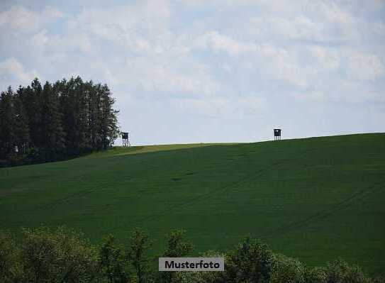 Garten mit Gartenhaus sowie Land- und Forstwirtschaftsflächen