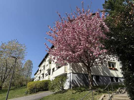 Vollständig renovierte 3-Zimmer-Wohnung mit Balkon in Wuppertal
