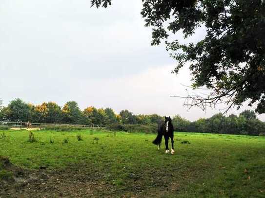 Naturnah wohnen am Stadtrand von Bielefeld