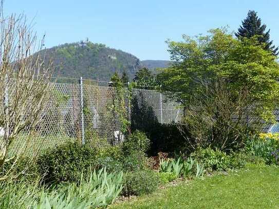 Ruhig gelegene 2-Zimmer-Wohnung mit eigenem Garten für eine Einzelperson