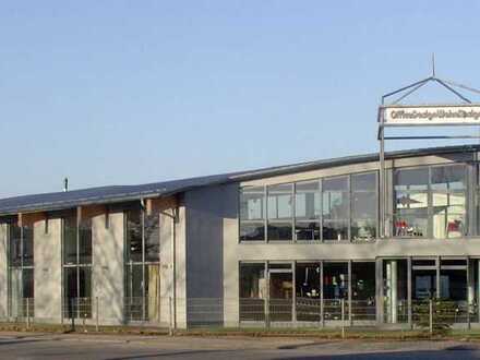 Büro und/oder Ausstellung - repräsentatives Gebäude in Bensheim, provisonsfrei