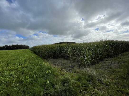 Verpachtete Landwirtschaftliche Fläche in Velen-Ramsdorf