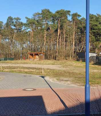 Winsen (Aller) | Baugrundstück am Waldrand