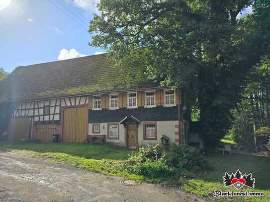 Denkmalgeschütztes Bauernhaus mit großem Grundstück und wunderschönem Talblick