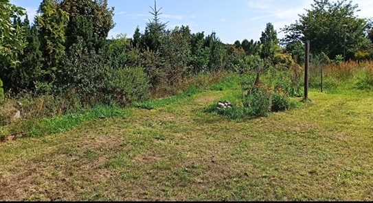 Gestalten Sie Ihr Leben im Einklang mit der Natur – Baugrundstück in Storkow