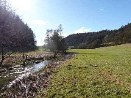 Idyllisch gelegene Bachgrundstücke im Hirschbachtal mit hohem ökologischem Potential zu verkaufen