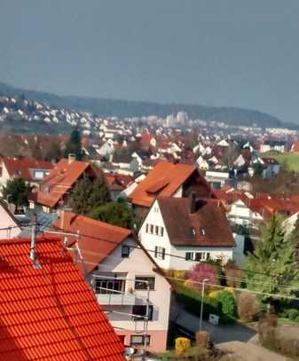 Modernisierte 2-Zimmer-EG-Wohnung mit Terrasse und Einbauküche in Winnenden