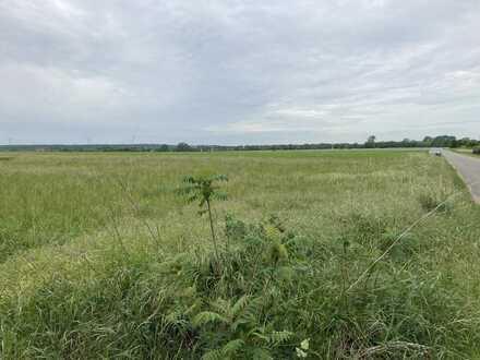 Seltenheit: Baugrundstück mit angeschlossener Weide (10.000 m²)