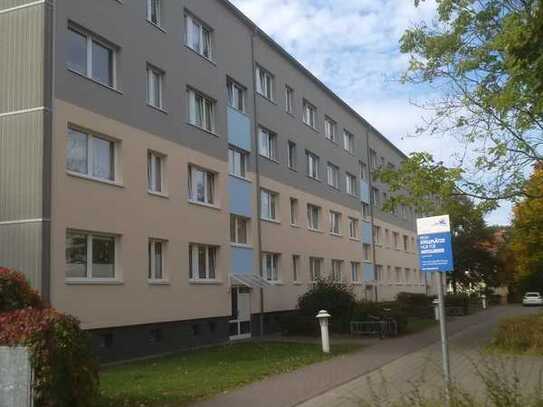 Neu hergerichtete 3-Zimmer-Wohnung mit Balkon