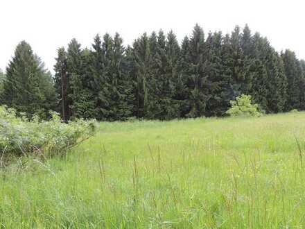GRUNDSTÜCKE IN GUMMERSBACH ORTSTEIL BERGHAUSEN ZU VERKAUFEN (PROVISIONSFREI)