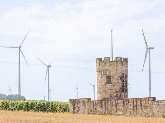 *PREISREDUZIERUNG* Ein Traum in Rheinhessen: Weingut mit großem Potenzial in Gau-Odernheim