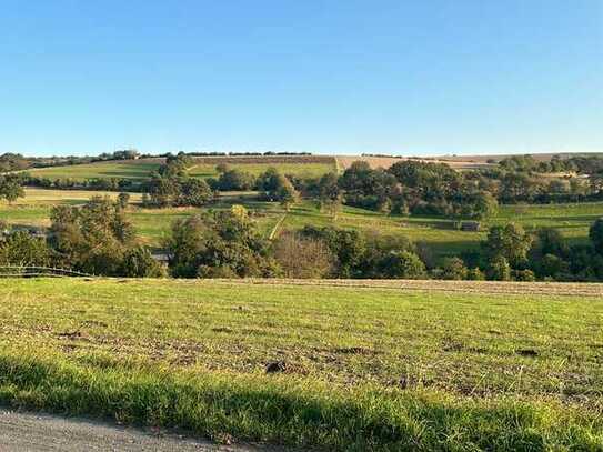 Traumgrundstück im Taunus (Glashütten – Schloßborn)