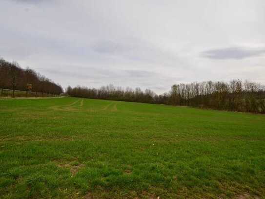 Verkauf zum Höchstgebot - Drei Landwirtschaftsflächen mit 44.680 m² in Ruppertenrod