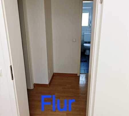 Geräumige helle 2 Zimmer Wohnung zu vermieten.