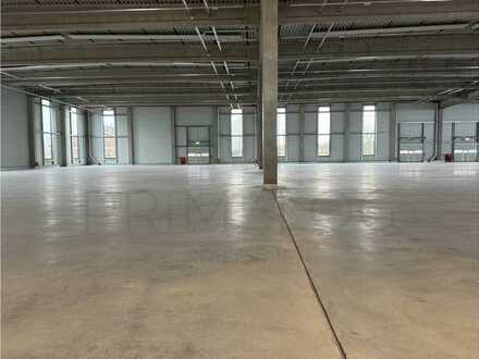 ** Ca. 1.650 m² Lagerhalle in Offenbach zu vermieten *Ebenerdige Andienung**