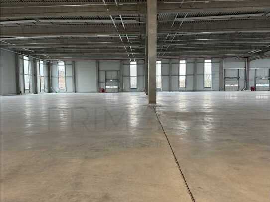 ** Ca. 1.650 m² Lagerhalle in Offenbach zu vermieten *Ebenerdige Andienung**