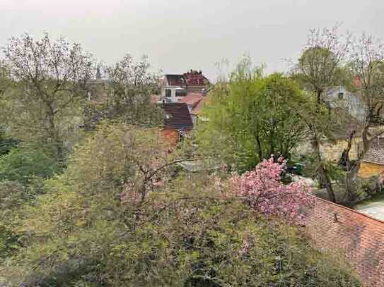 Gemütliche ruhige 2-Zimmer-Wohnung mit Balkon in Steinweg