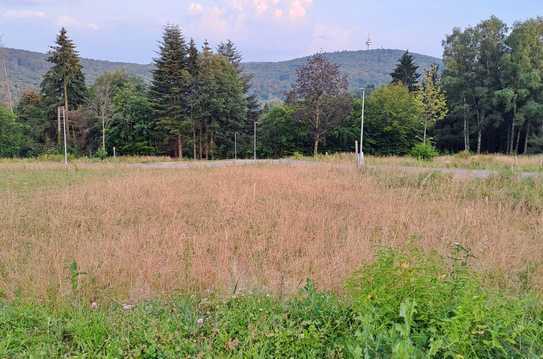 *provisionsfrei* - Baugrundstück in Glashütten-Schloßborn - 2 DHH möglich - voll erschlossen