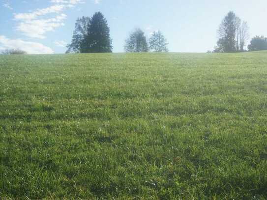 Was für eine ungewöhnliche Möglichkeit!! Extra großes landwirtschaftliches Grundstück